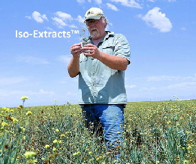 sLance-Beem-Iso-Extracts